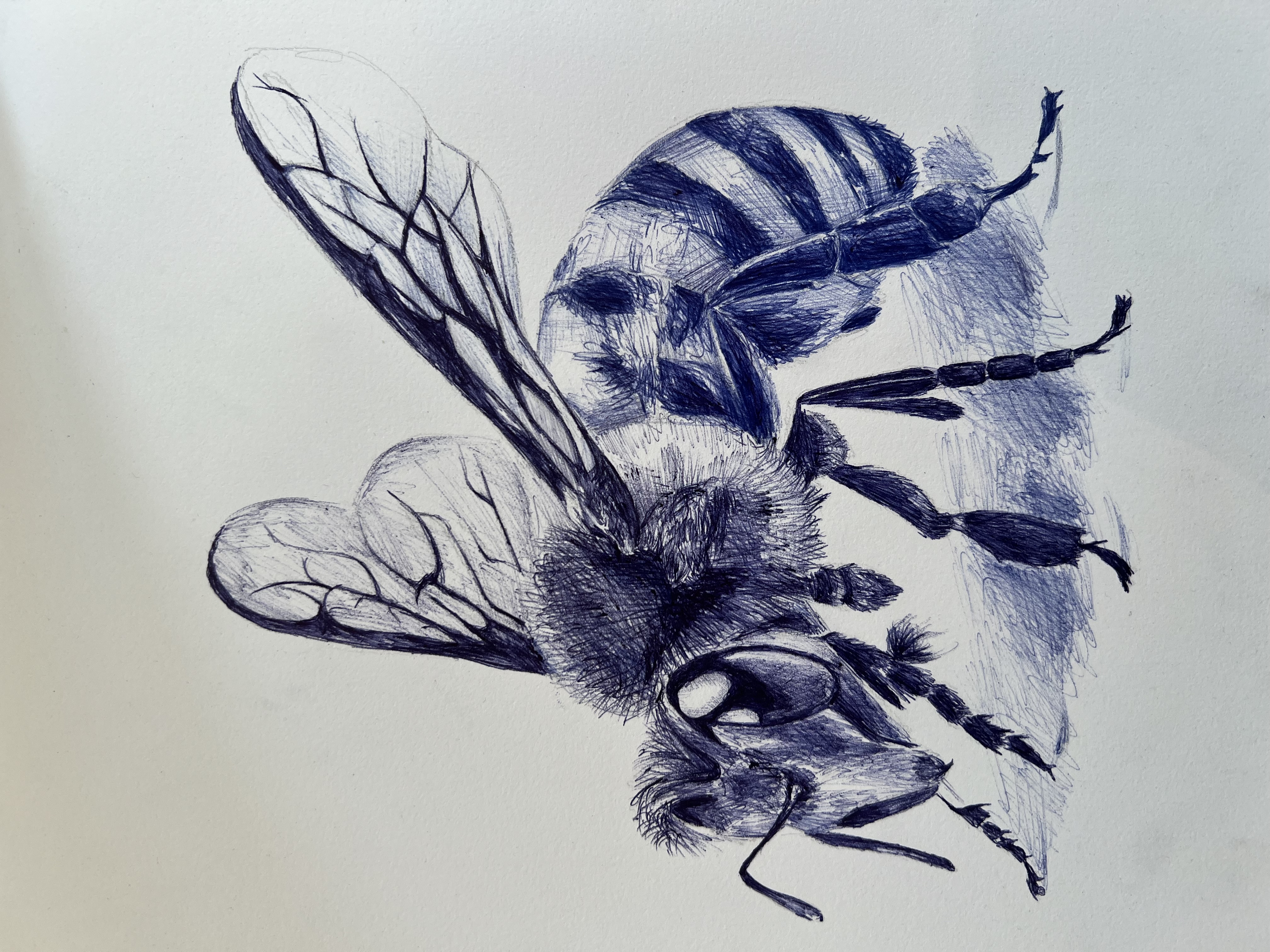 Winged Worker